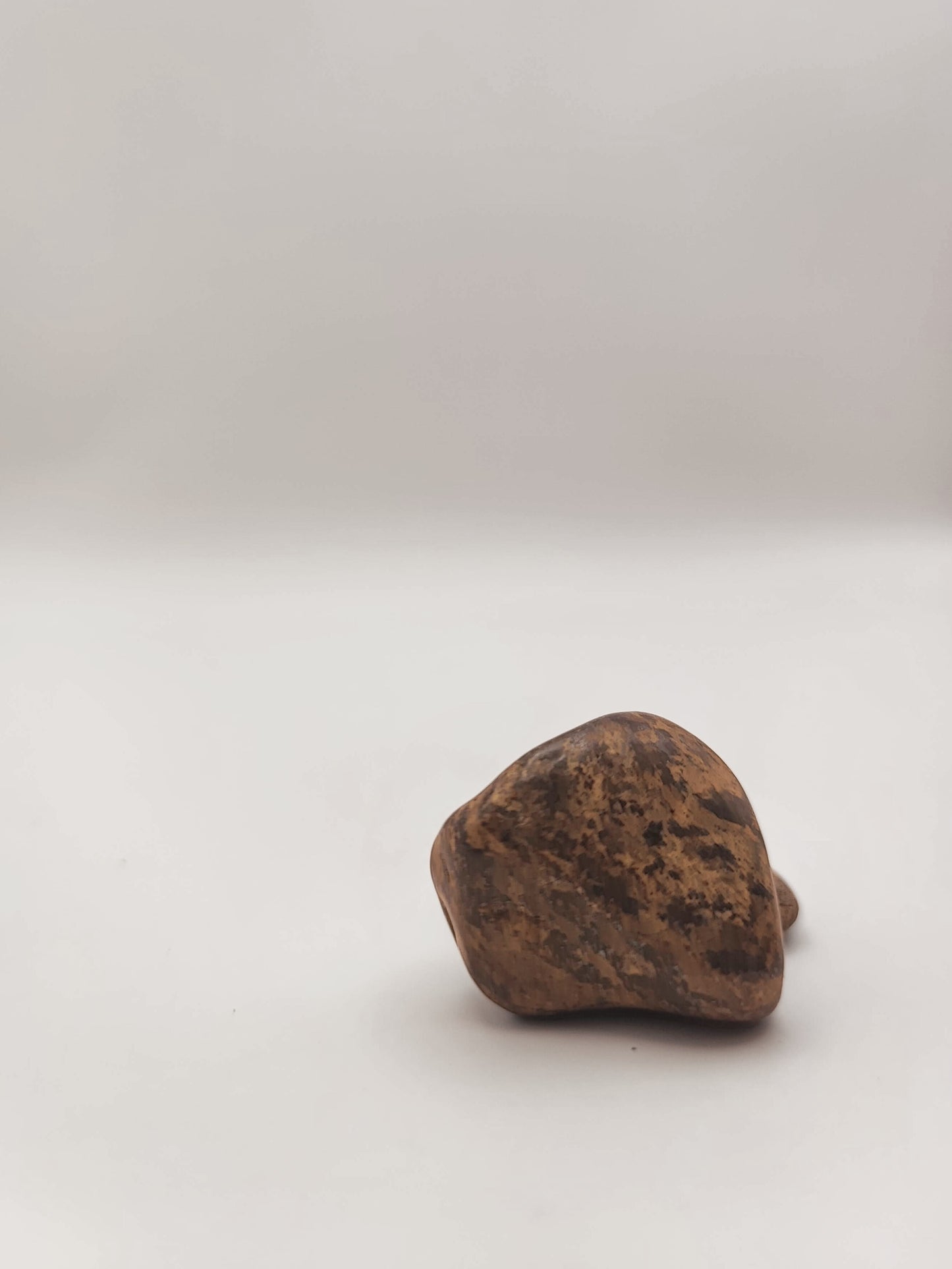 Bronzite