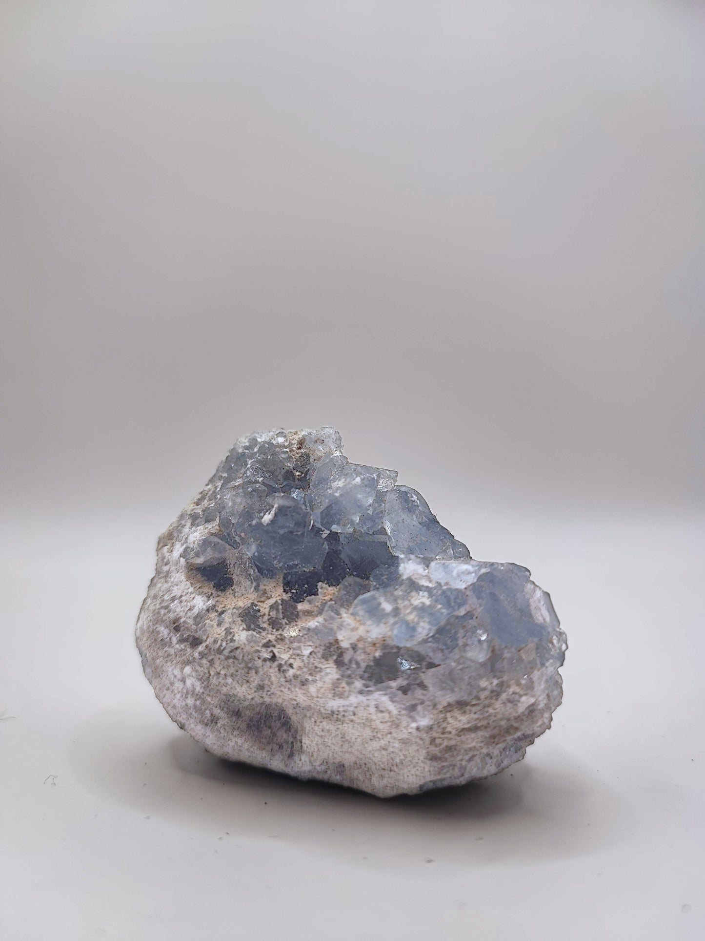 Drusa di Celestina