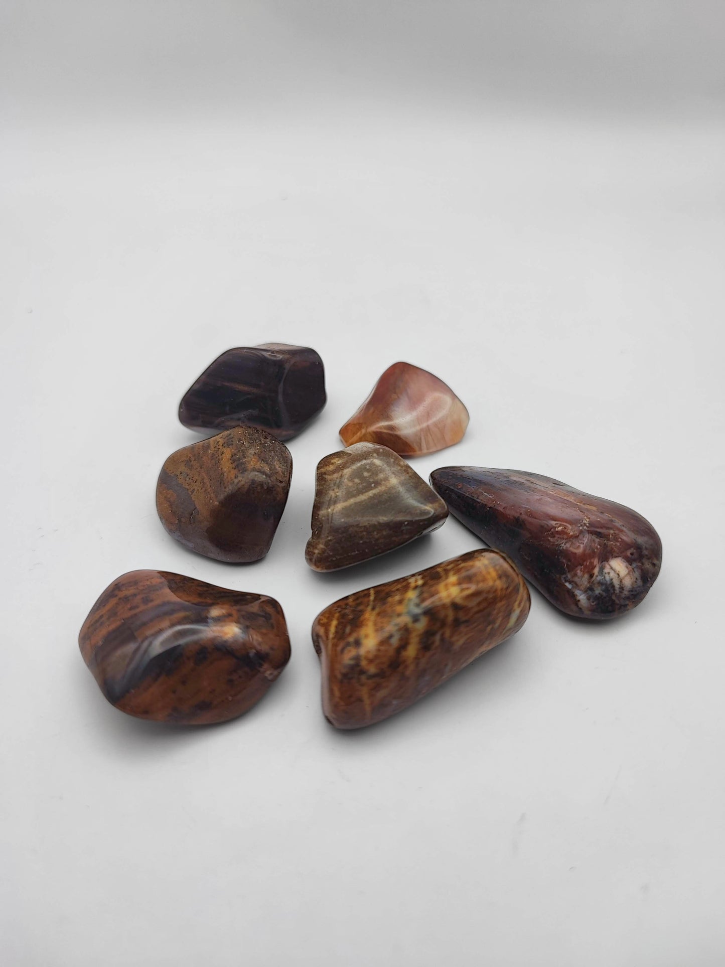 Legno fossile
