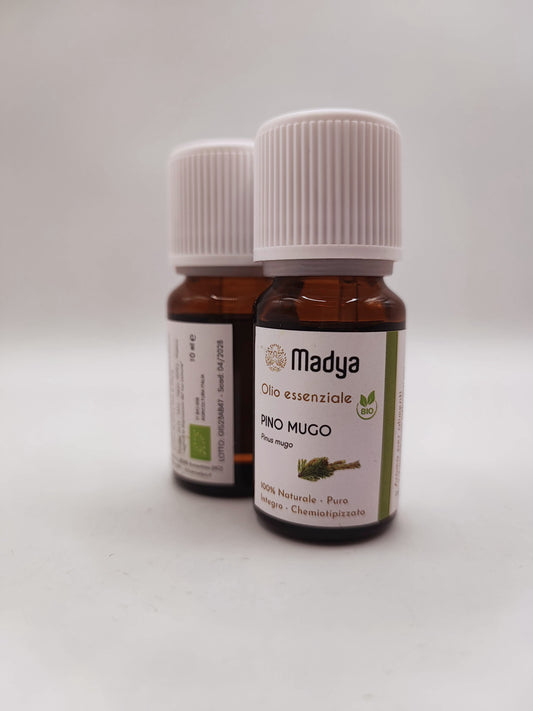 Olio essenziale di Pino Mugo