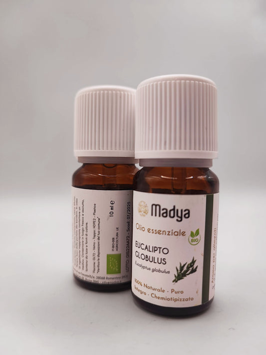 Olio essenziale di Eucalipto Globulus